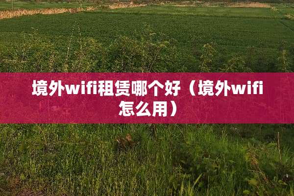 境外wifi租赁哪个好（境外wifi怎么用）