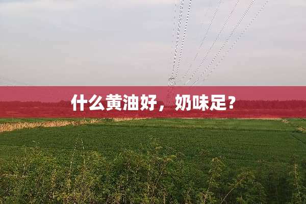 什么黄油好，奶味足？