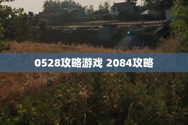 0528攻略游戏 2084攻略