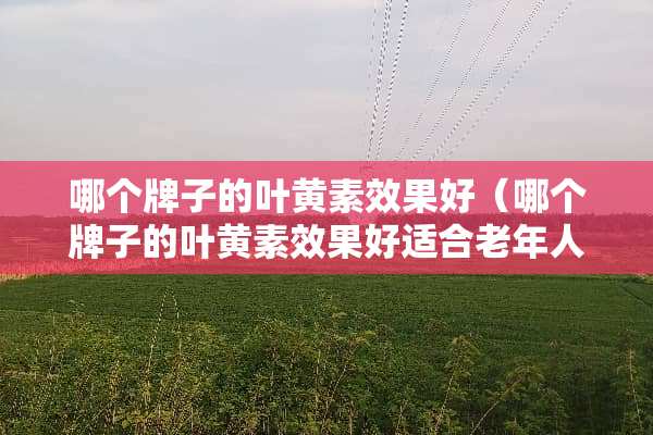哪个牌子的叶黄素效果好（哪个牌子的叶黄素效果好适合老年人吃）