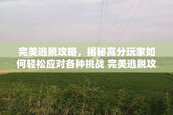 完美逃脱攻略，揭秘高分玩家如何轻松应对各种挑战 完美逃脱攻略