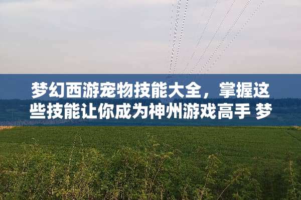 梦幻西游宠物技能大全，掌握这些技能让你成为神州游戏高手 梦幻西游宠物技能大全