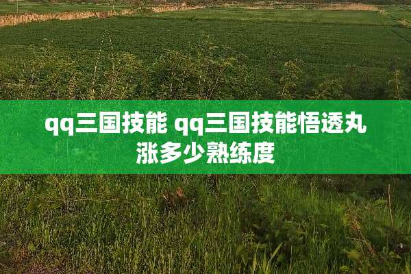 qq三国技能 qq三国技能悟透丸涨多少熟练度