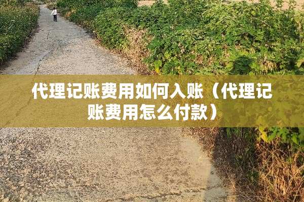 代理记账费用如何入账（代理记账费用怎么付款）