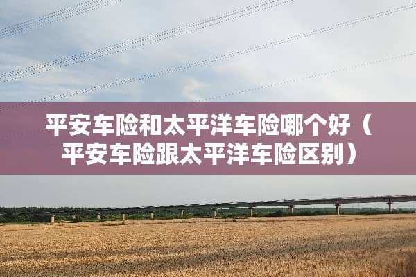 平安车险和太平洋车险哪个好（平安车险跟太平洋车险区别）
