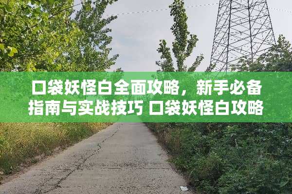 口袋妖怪白全面攻略，新手必备指南与实战技巧 口袋妖怪白攻略