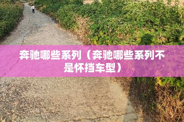 奔驰哪些系列（奔驰哪些系列不是怀挡车型）
