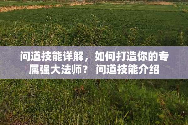 问道技能详解，如何打造你的专属强**师？ 问道技能介绍