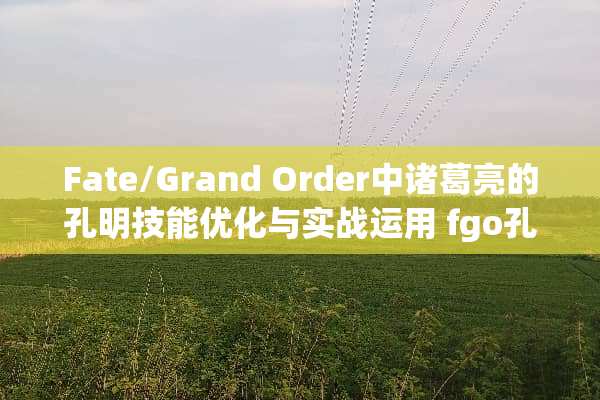 Fate/Grand Order中诸葛亮的孔明技能优化与实战运用 fgo孔明技能