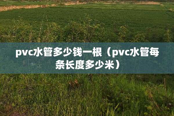 pvc水管多少钱一根（pvc水管每条长度多少米）