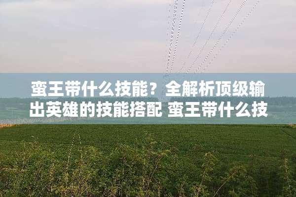 蛮王带什么技能？全解析**输出英雄的技能搭配 蛮王带什么技能