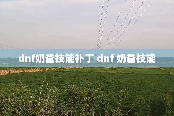 dnf奶爸技能补丁 dnf 奶爸技能