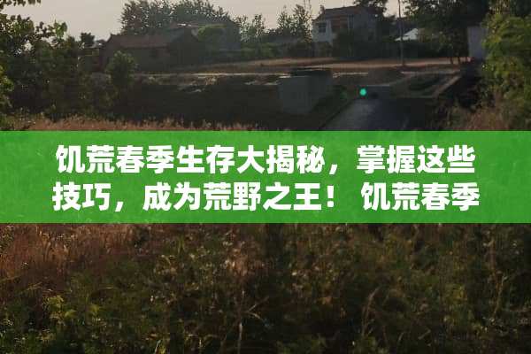 饥荒春季生存大揭秘，掌握这些技巧，成为荒野之王！ 饥荒春季攻略