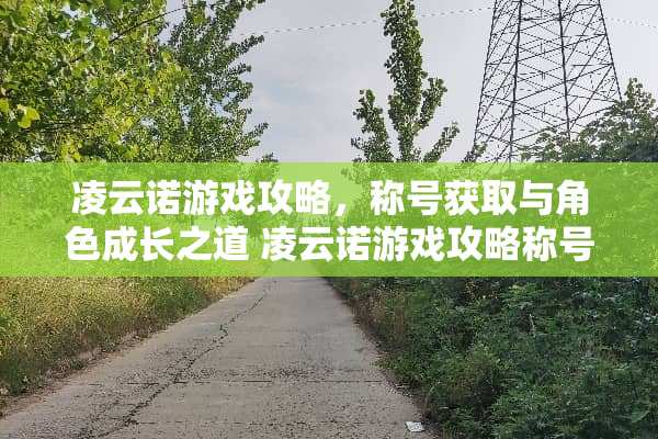 凌云诺游戏攻略，称号获取与角色成长之道 凌云诺游戏攻略称号