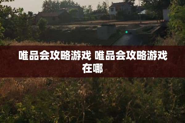 唯品会攻略游戏 唯品会攻略游戏在哪