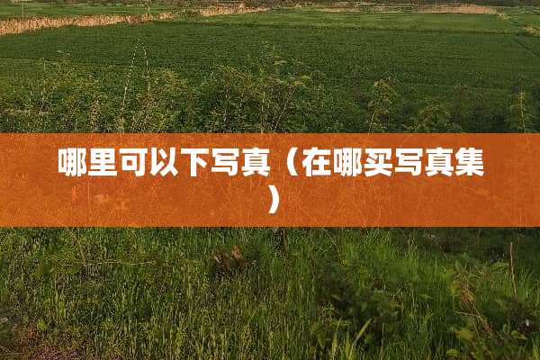 哪里可以下写真（在哪买写真集）