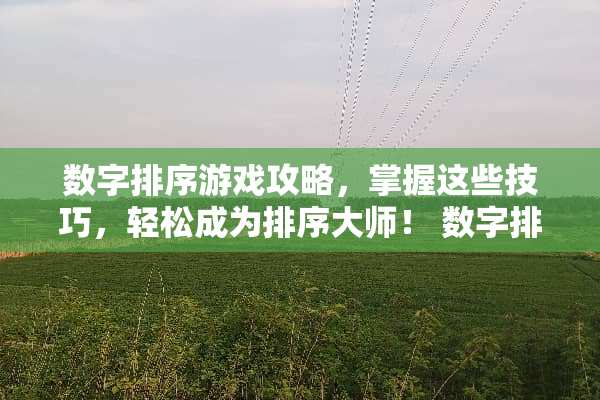 数字排序游戏攻略，掌握这些技巧，轻松成为排序大师！ 数字排序游戏的攻略