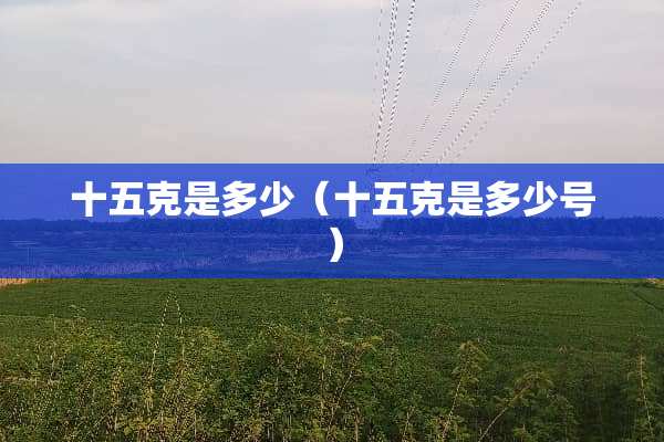 十五克是多少（十五克是多少号）