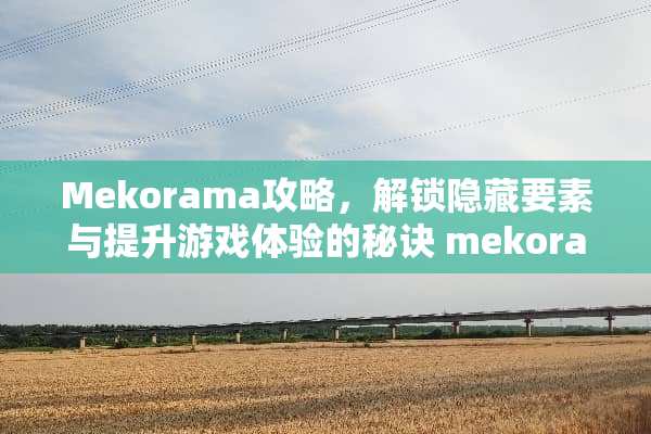 Mekorama攻略，解锁隐藏要素与提升游戏体验的秘诀 mekorama攻略