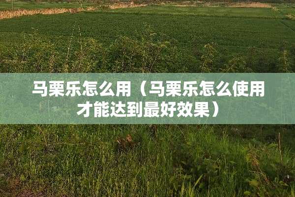 马栗乐怎么用（马栗乐怎么使用才能达到最好效果）