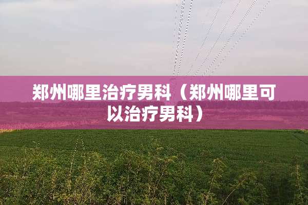 郑州哪里治疗男科（郑州哪里可以治疗男科）