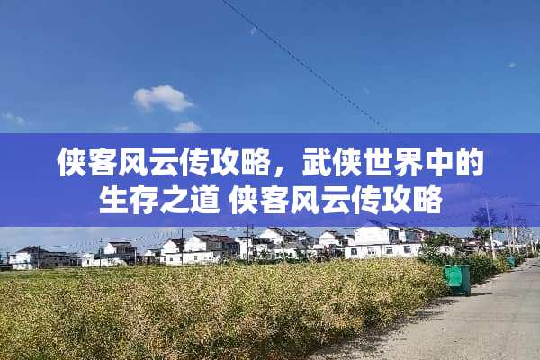 侠客风云传攻略，武侠世界中的生存之道 侠客风云传攻略