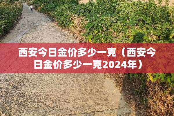 西安今日金价多少一克（西安今日金价多少一克2024年）