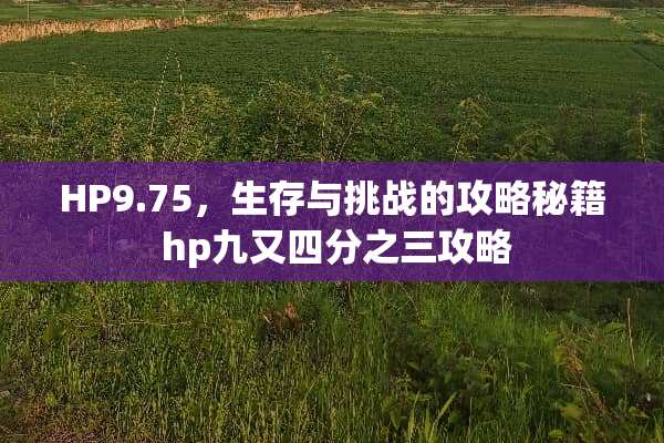 HP9.75，生存与挑战的攻略秘籍 hp九又四分之三攻略