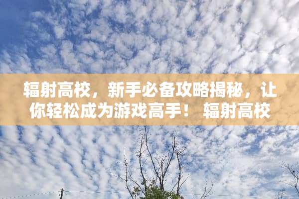 辐射高校，新手必备攻略揭秘，让你轻松成为游戏高手！ 辐射高校小游戏攻略