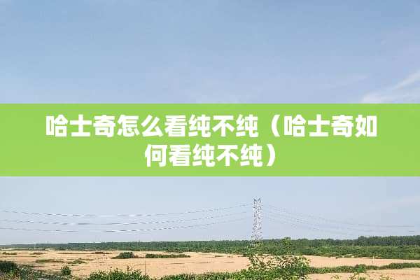哈士奇怎么看纯不纯（哈士奇如何看纯不纯）