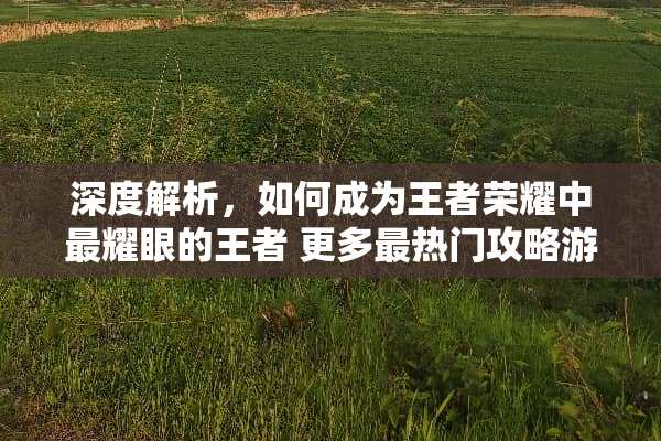 深度解析，如何成为王者荣耀中最耀眼的王者 更多最热门攻略游戏