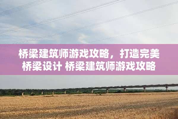 桥梁建筑师游戏攻略，打造完美桥梁设计 桥梁建筑师游戏攻略