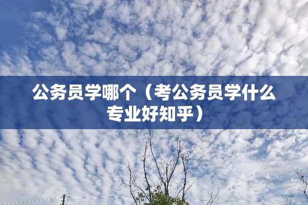公务员学哪个（考公务员学什么专业好知乎）