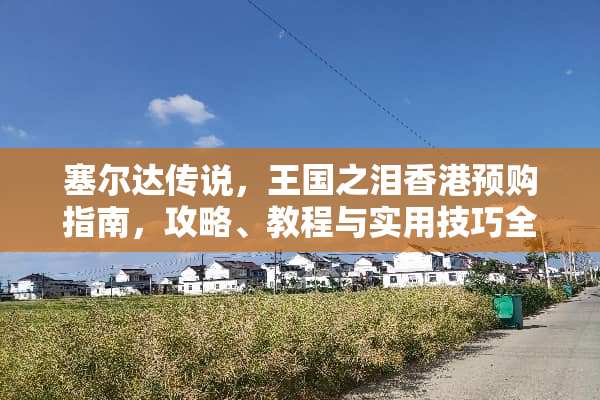 塞尔达传说，王国之泪香港预购指南，攻略、教程与实用技巧全解析 任天堂香港预购游戏攻略