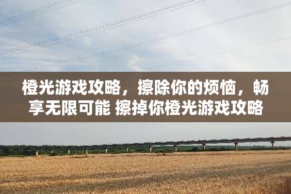 橙光游戏攻略，擦除你的烦恼，畅享无限可能 擦掉你橙光游戏攻略