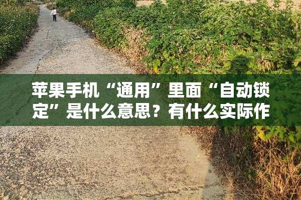 苹果手机“通用”里面“自动锁定”是什么意思？有什么实际作用吗？