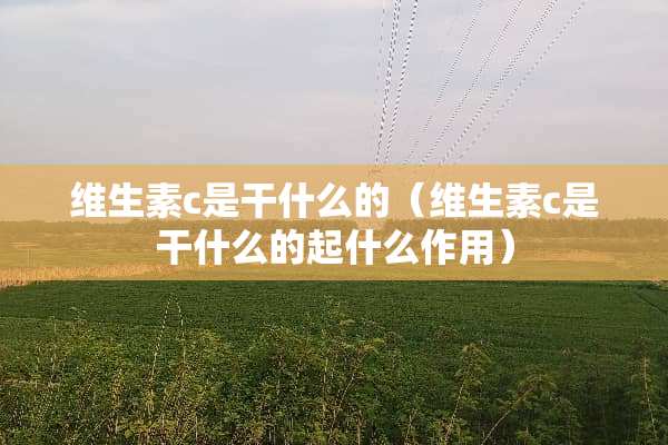 维生素c是干什么的（维生素c是干什么的起什么作用）