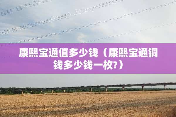康熙宝通值多少钱（康熙宝通铜钱多少钱一枚?）