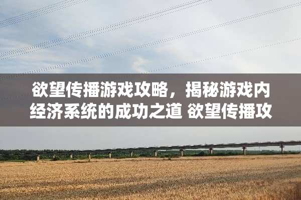 **传播游戏攻略，揭秘游戏内经济系统的成功之道**传播攻略