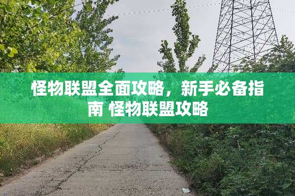 怪物联盟全面攻略，新手必备指南 怪物联盟攻略