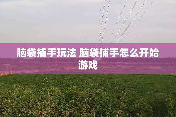 脑袋捕手玩法 脑袋捕手怎么开始游戏