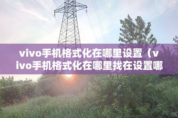 vivo手机格式化在哪里设置（vivo手机格式化在***在设置哪个里面）