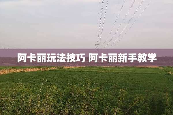 阿卡丽玩法技巧 阿卡丽新手教学