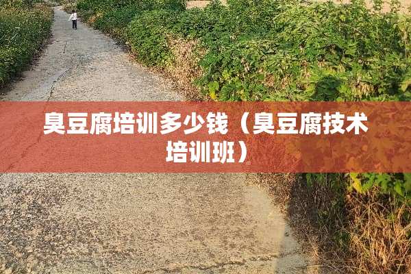 臭豆腐培训多少钱（臭豆腐技术培训班）