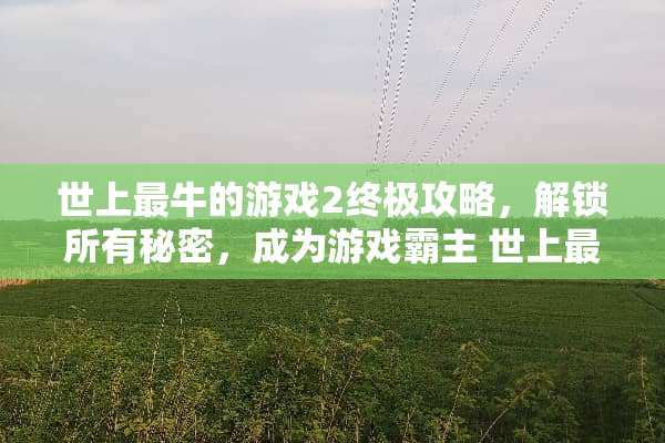 世上最牛的游戏2终极攻略，解锁所有秘密，成为游戏霸主 世上最牛的游戏2攻略