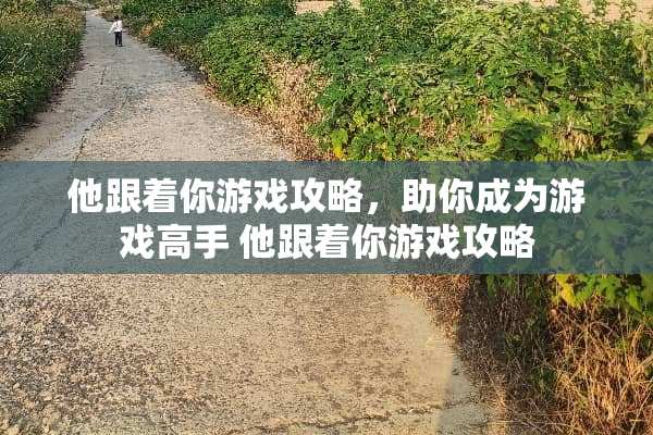 他跟着你游戏攻略，助你成为游戏高手 他跟着你游戏攻略