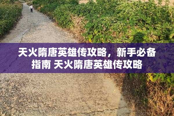 天火隋唐英雄传攻略，新手必备指南 天火隋唐英雄传攻略