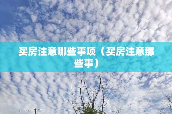 买房注意哪些事项（买房注意那些事）