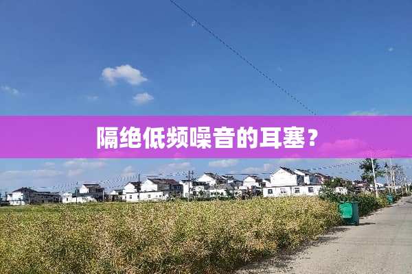 隔绝低频噪音的耳塞？