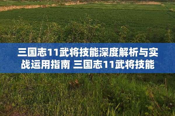 三国志11武将技能深度解析与实战运用指南 三国志11武将技能